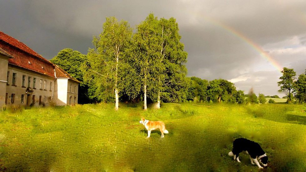 Schloss Neuhoff, © Schloss Neuhoff Schloss Neuhoff, © Schloss Neuhoff