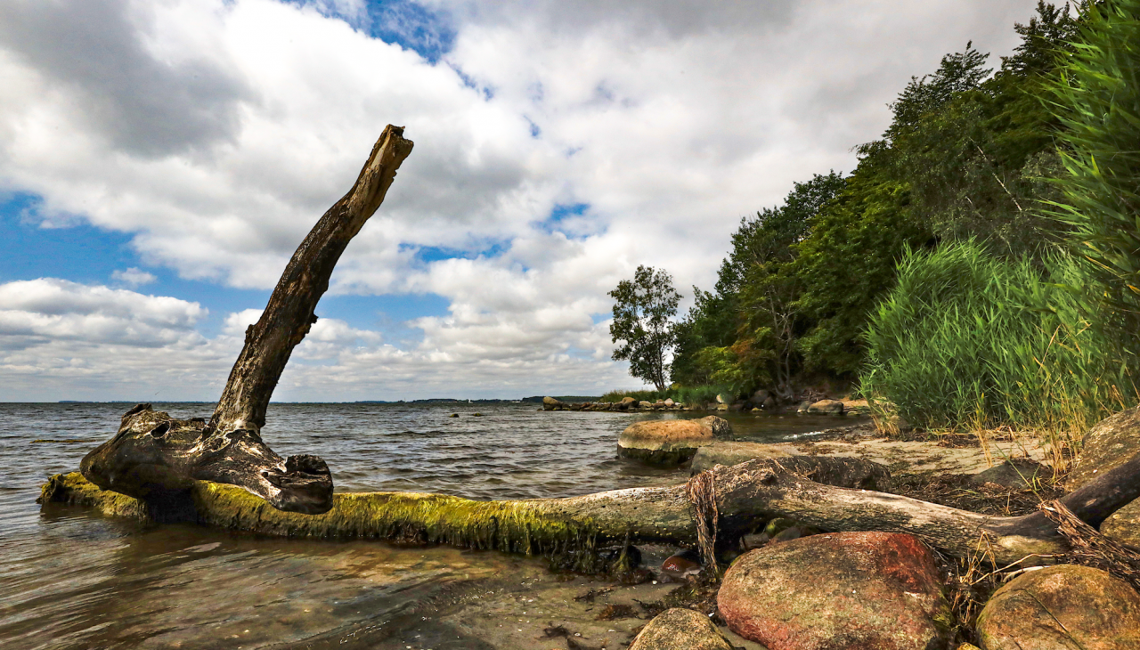 pfad-der-musse-und-erkenntnis_2, &copy; TMV/Gohlke