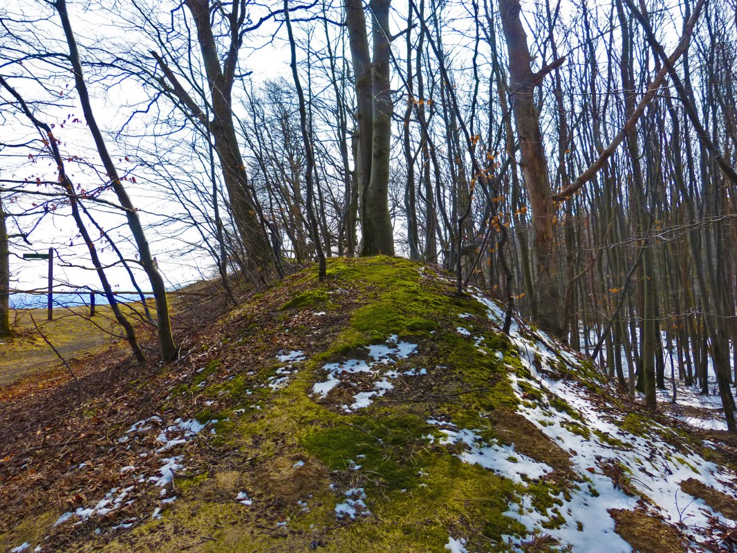 &copy; Arch&auml;o Tour R&uuml;gen