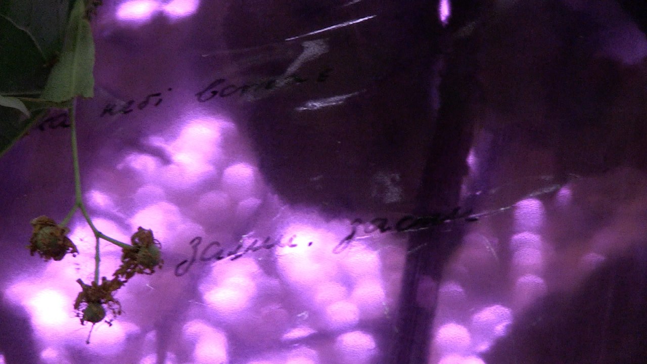 &copy; Annette Czerny