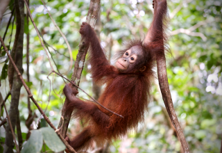 &copy; Deutsche Naturfilmstiftung