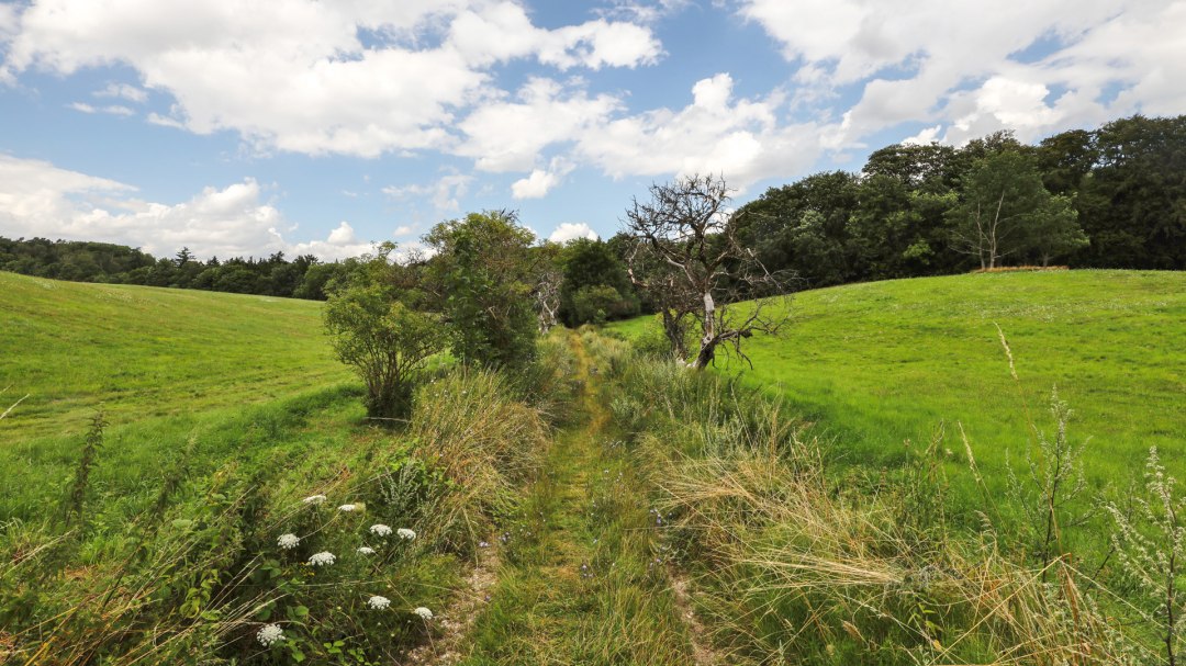 Park Burg Schlitz_1, &copy; TMV/Gohlke