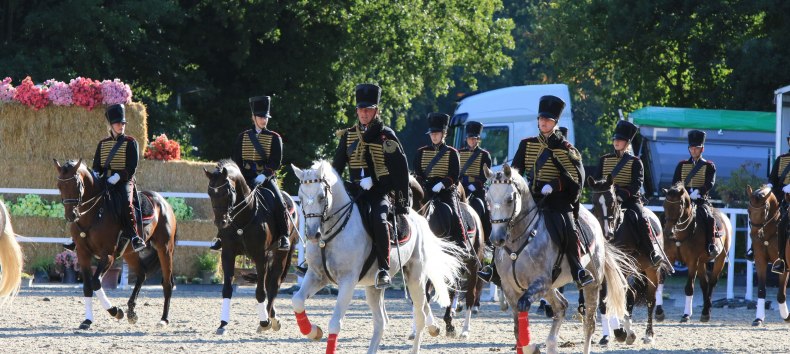 &copy; Sven F&ouml;rst