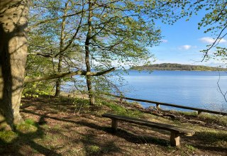 © Foto Steffi Deickert © Foto Steffi Deickert