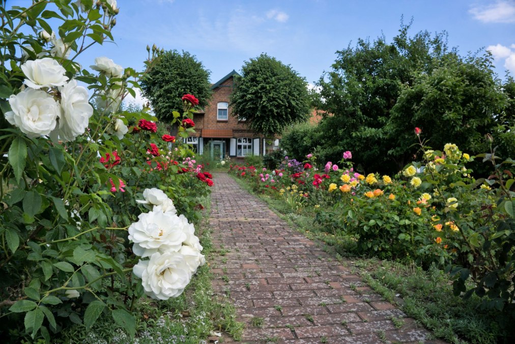 Blick auf unser Haus mit Rosengarten, © O.E.Christoph Blick auf unser Haus mit Rosengarten, © O.E.Christoph
