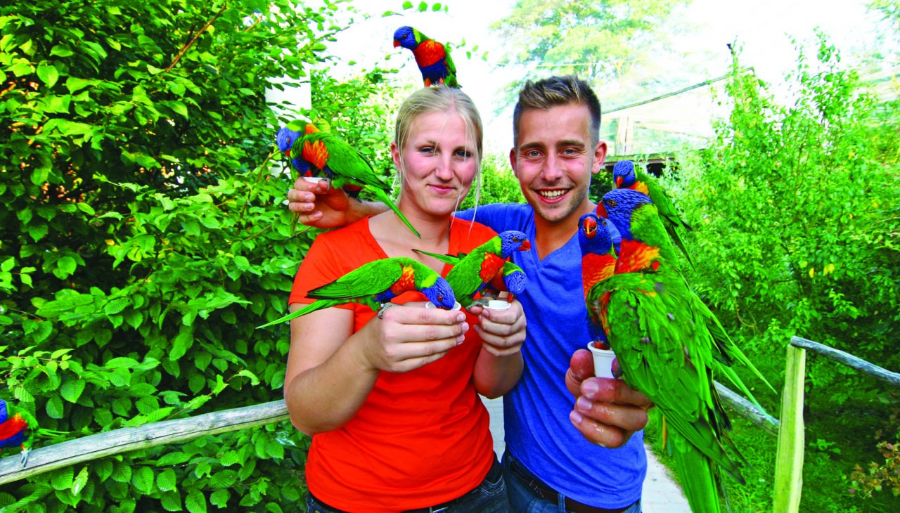 Besucher können die australischen Loris füttern, © Vogelpark Marlow/Zöger