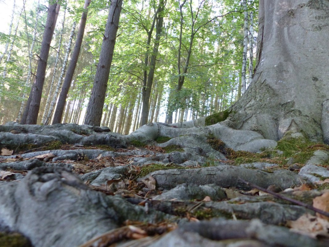 © Bianca Schubert © Bianca Schubert