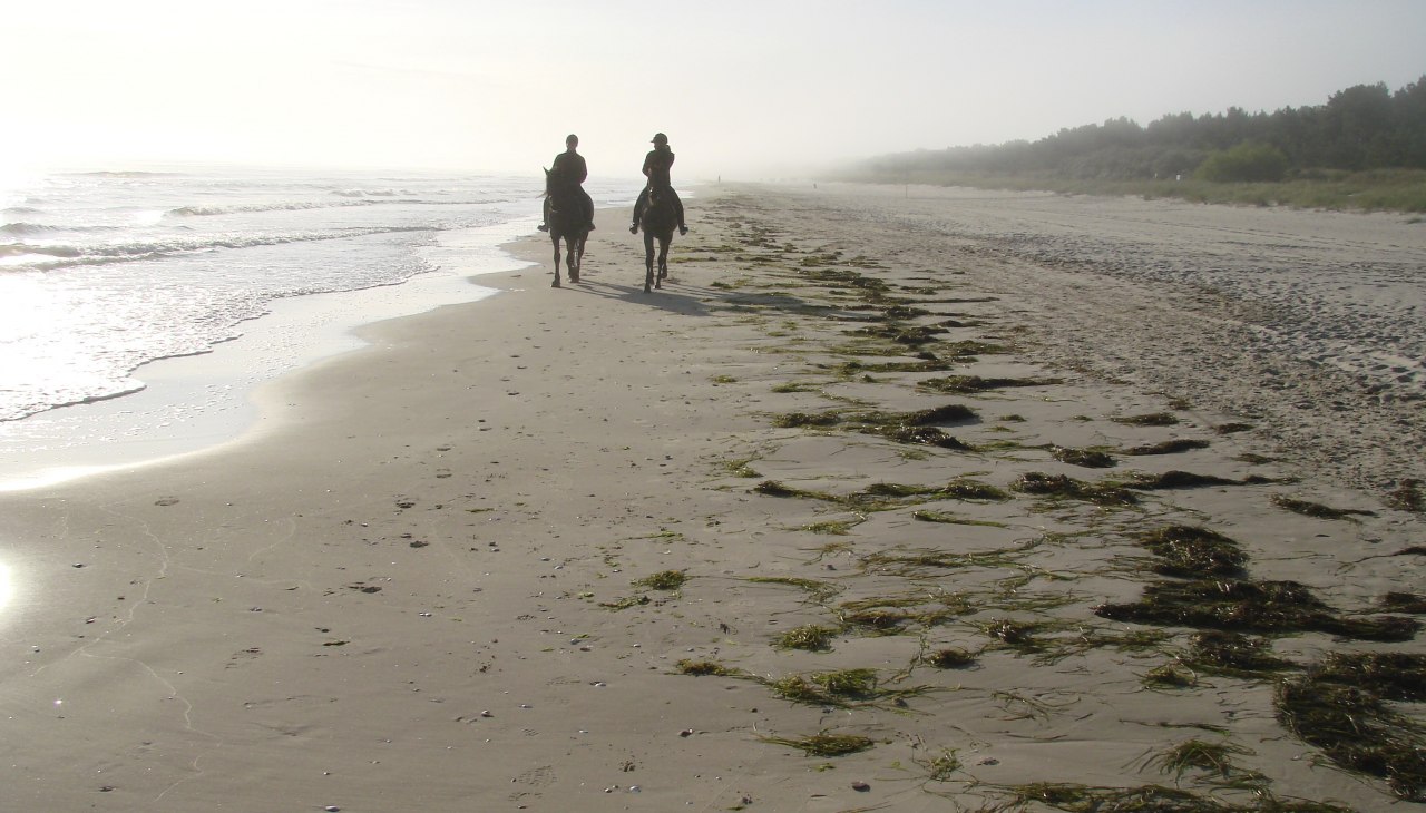 Paardrijden op het strand in Trassenheide, © Hotel Friesenhof Paardrijden op het strand in Trassenheide, © Hotel Friesenhof