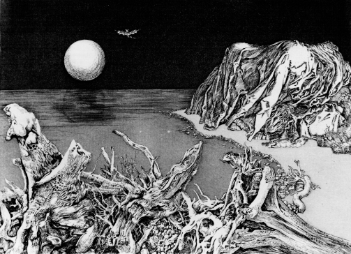 &copy; Kunstmuseum Ahrenshoop