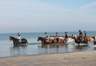 Ausritt an Bodden und Ostseek&uuml;ste // &copy; Reit- und Feriencamp Illner