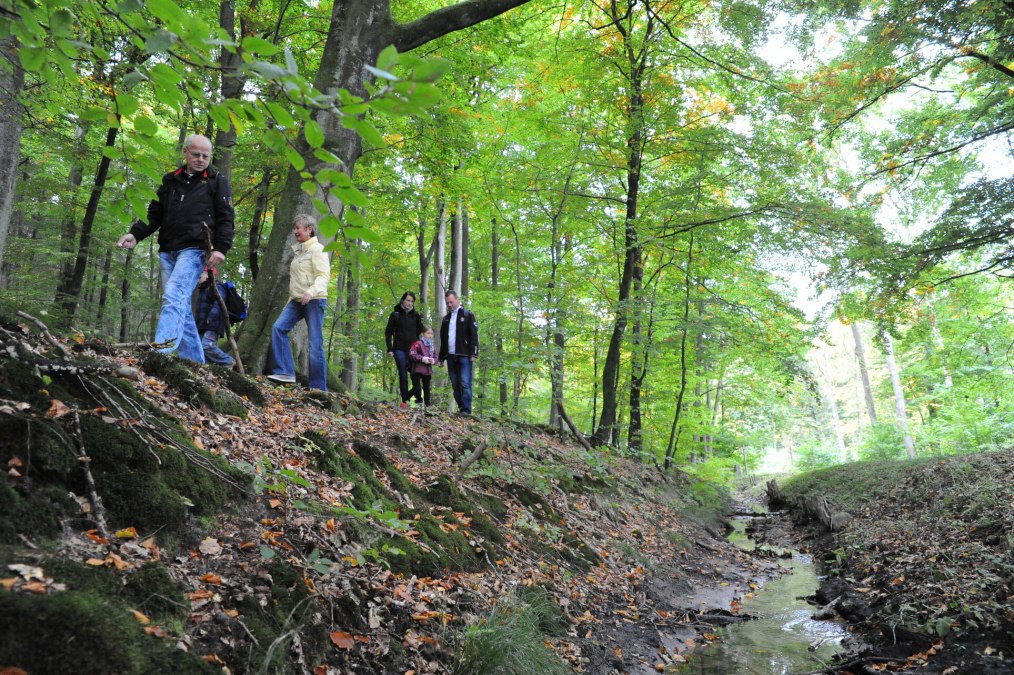 Wanderung durchs Moor, © TMV/Duerst Wanderung durchs Moor, © TMV/Duerst