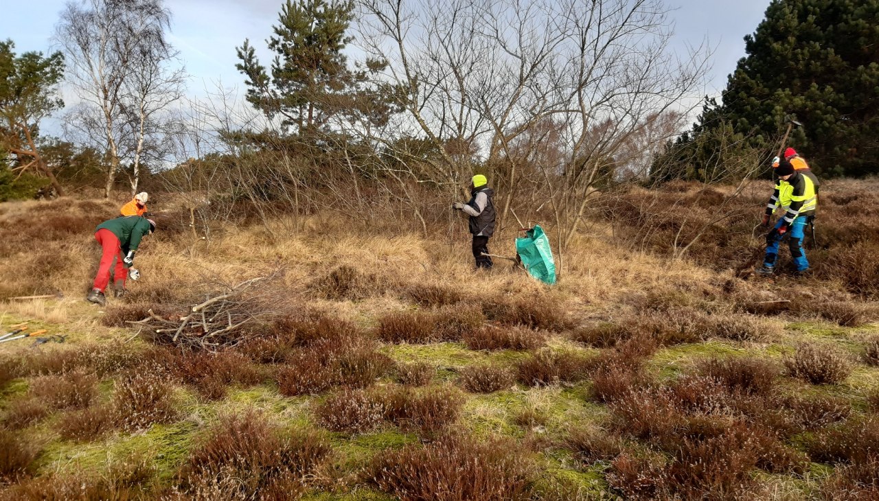 Mitmachtage_KFuchs_1800, © Nationalparkamt Vorpommern Mitmachtage_KFuchs_1800, © Nationalparkamt Vorpommern