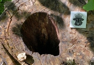 © Foto: Touristinformationen Wesenberg & Mirow, Mecklenburgische Kleinseenplatte © Foto: Touristinformationen Wesenberg & Mirow, Mecklenburgische Kleinseenplatte