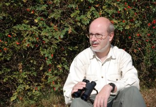 © Uwe_Westpha © Uwe_Westpha