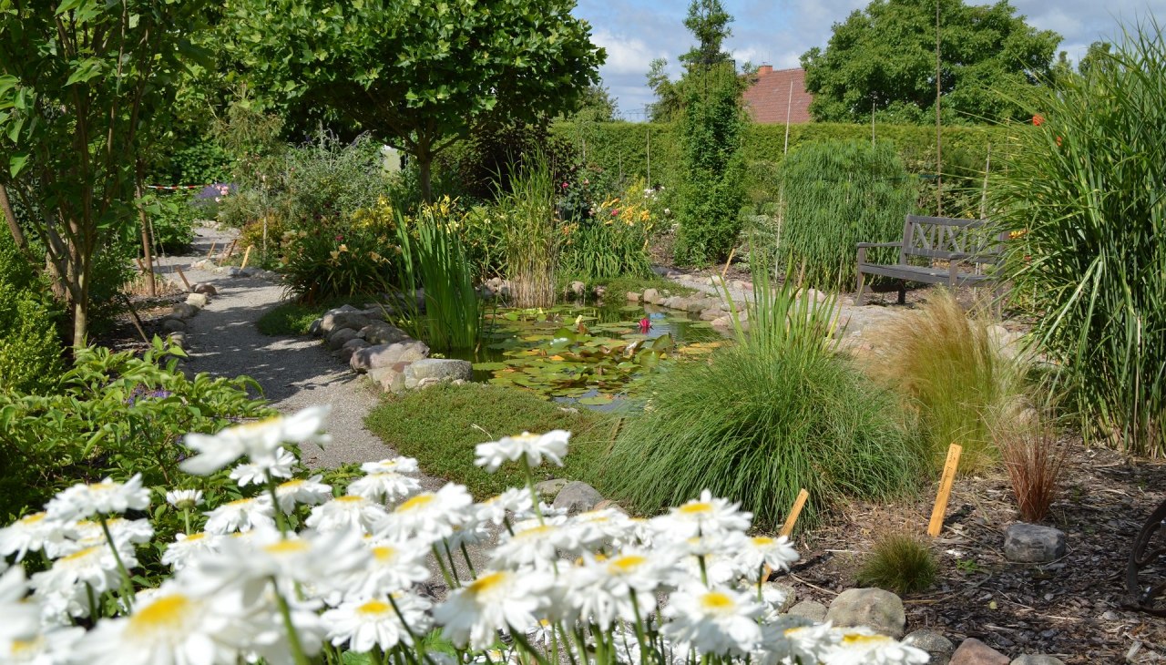 Ruhige Sitzgelegenheit am Gartenteich, © Kevin Hager (Baumschule Hager) Ruhige Sitzgelegenheit am Gartenteich, © Kevin Hager (Baumschule Hager)