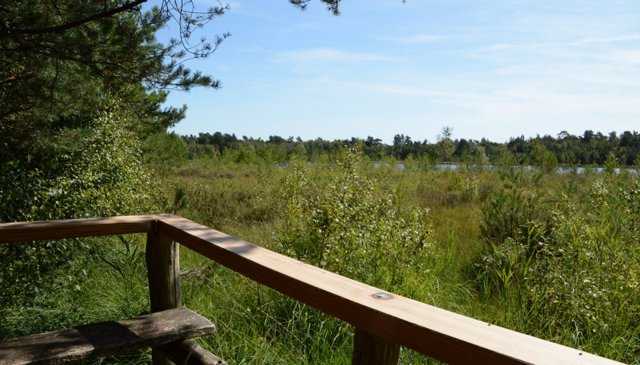 Aussichtspunkt Moorsee, © Tourismusverband Mecklenburg-Schwerin