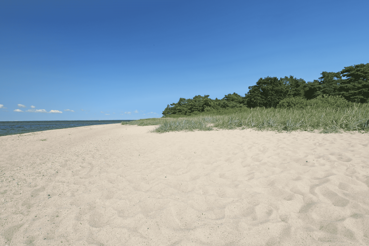 Toegang tot het strand // &copy; TMV/Gohlke