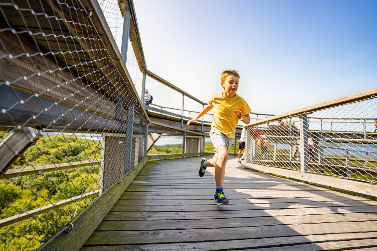 Kinderen op het uitkijkplatform van de boomtopwandeling in het Rügen Natural Heritage Centre // © Naturerbezentrum_Ruegen Kinderen op het uitkijkplatform van de boomtopwandeling in het Rügen Natural Heritage Centre // © Naturerbezentrum_Ruegen