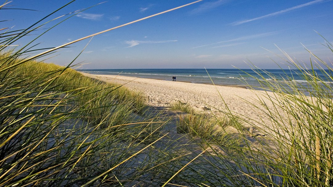 Blick auf den Prerow Strand, © ginkgomare