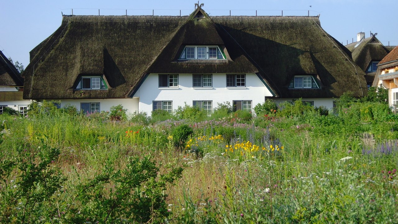Gartenseite des Hotels Haferland // © Martina Evers Gartenseite des Hotels Haferland // © Martina Evers