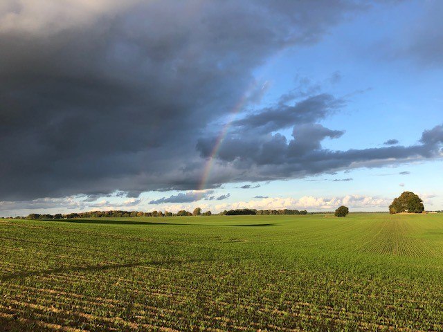 Gro&szlig;steingrab Gnewitz2, &copy; TMV