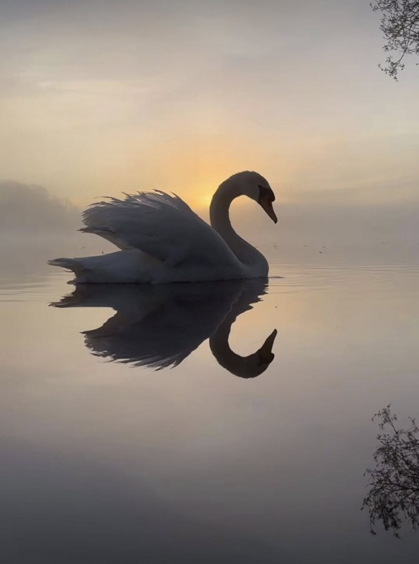 &copy; TZ S&uuml;dliche Boddenk&uuml;ste