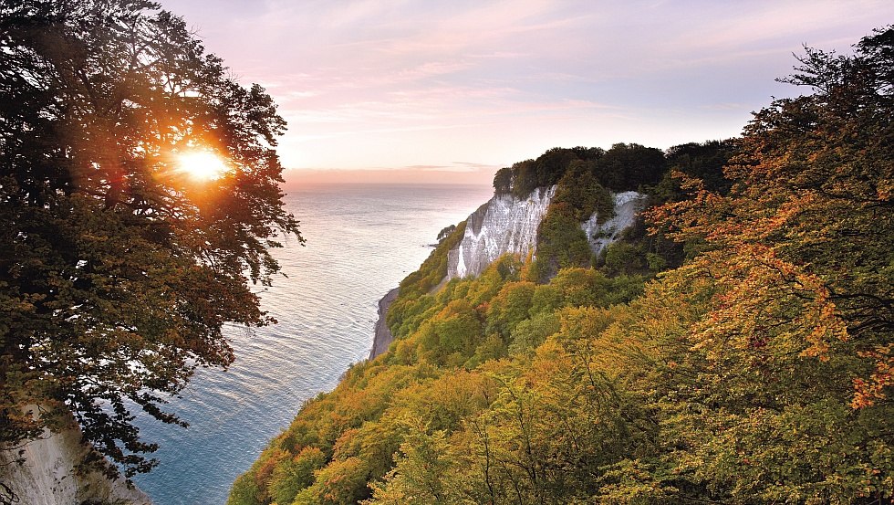 Die Kreideküste der Insel Rügen im warmen Licht des Herbstes, © TMV/Grundner Die Kreideküste der Insel Rügen im warmen Licht des Herbstes, © TMV/Grundner