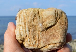 Versteinerte Wurmr&ouml;hren - Skolithos-Sandstein Fossil eines der &auml;ltesten h&ouml;heren Lebewesen // &copy; GeoPark Nordisches Steinreich