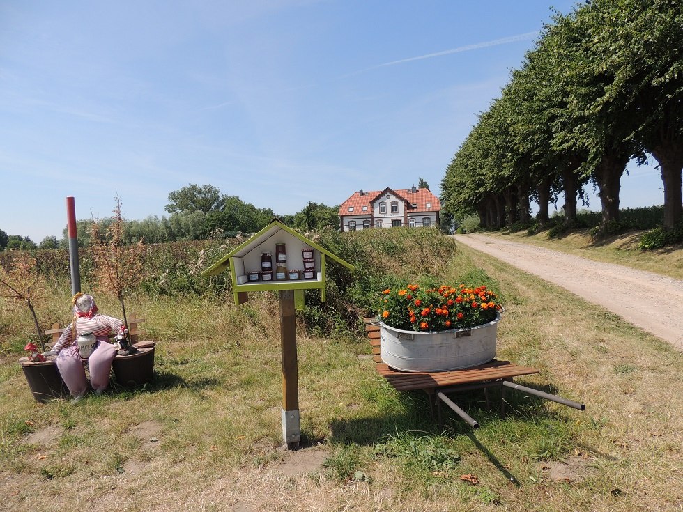 Blick auf die Zufahrt nach Einhusen // © Kurverwaltung Insel Poel Blick auf die Zufahrt nach Einhusen // © Kurverwaltung Insel Poel