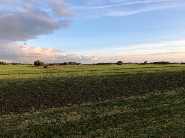 Großsteingrab Gnewitz 3, © TMV Großsteingrab Gnewitz 3, © TMV