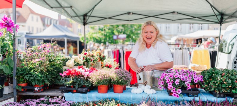 &copy; Bernsteinstadt Ribnitz-Damagrten