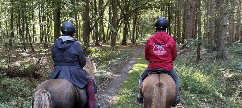 Reiten durch den Dar&szlig;er Wald // &copy; Islandpferdehof Fischland