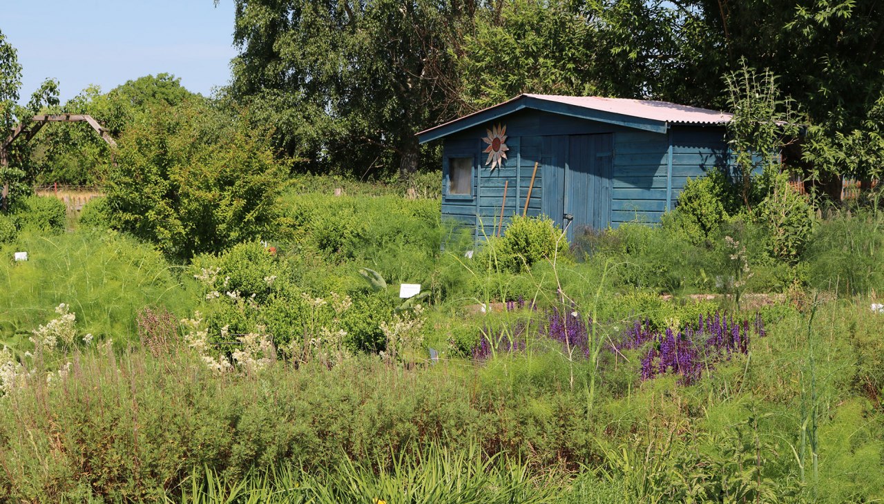 Luplower Kräutergärtnerei, © Silke Voss Luplower Kräutergärtnerei, © Silke Voss