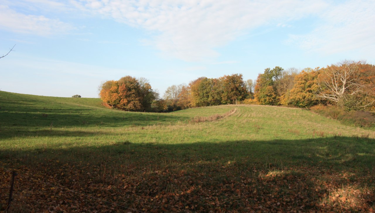 26-08-29 Wandertag im Malchiner Becken, GMZ, © C 26-08-29 Wandertag im Malchiner Becken, GMZ, © C