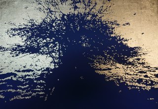 © Randolph Wolf - © Randolph Wolf -