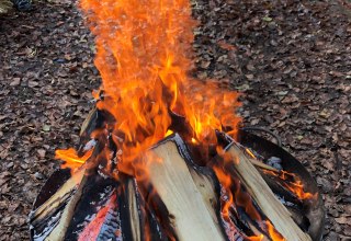 &copy; Stadtmarketing Ribnitz-Damgarten