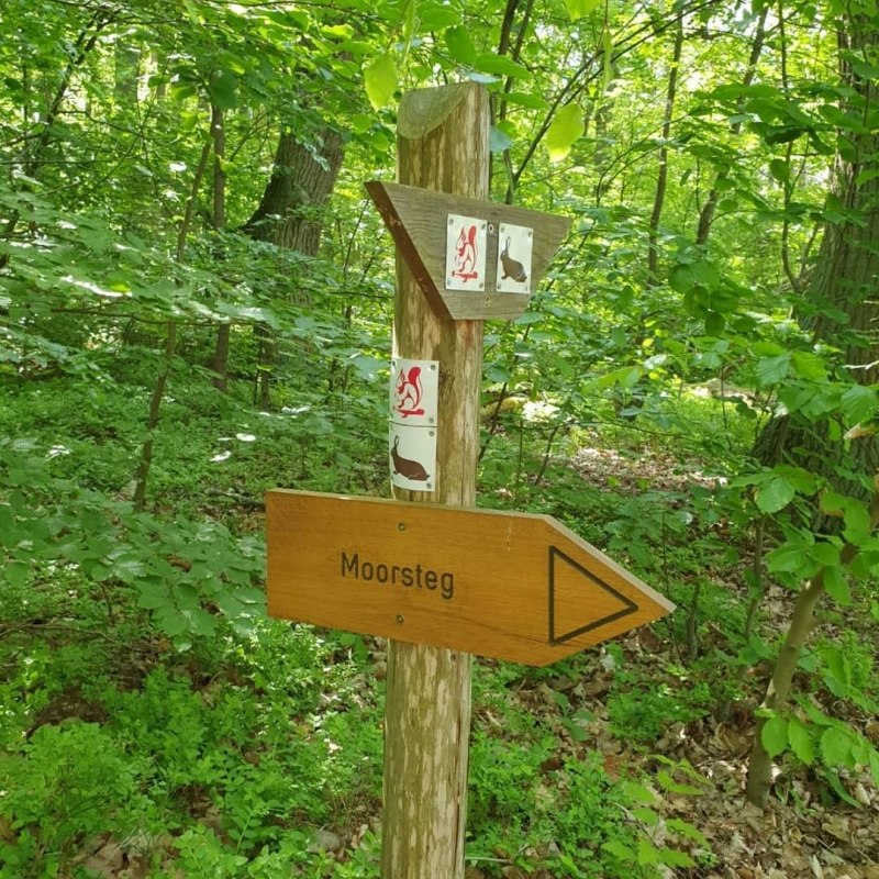 &copy; Waren (M&uuml;ritz)-Information