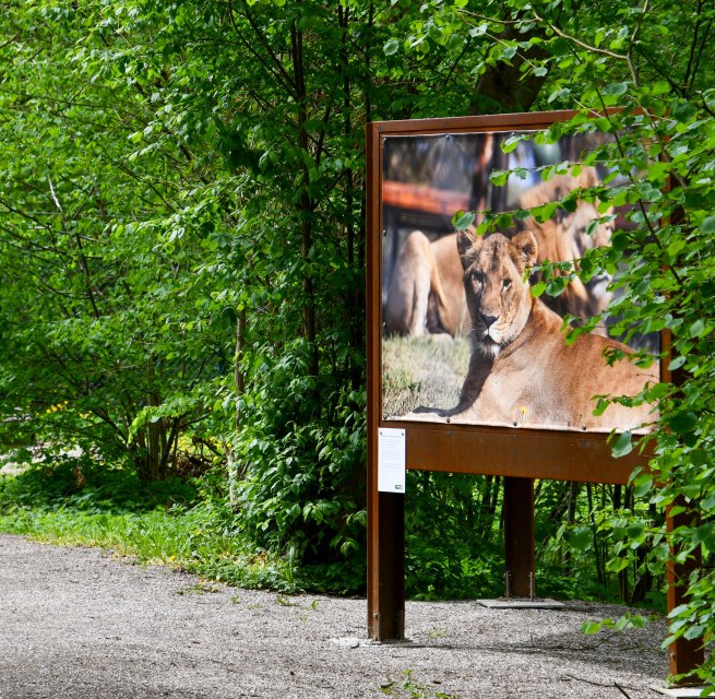 Foto-Ausstellung "Respekt, Mitgefühl und Verständnis" in der Waldgalerie im BÄRENWALD Müritz // © BÄRENWALD Müritz | Manuela Klier Foto-Ausstellung "Respekt, Mitgefühl und Verständnis" in der Waldgalerie im BÄRENWALD Müritz // © BÄRENWALD Müritz | Manuela Klier