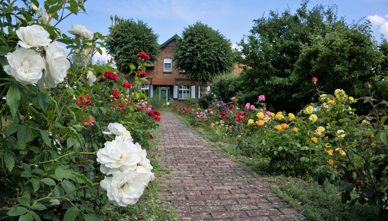 Blick auf unser Haus mit Rosengarten, © O.E.Christoph Blick auf unser Haus mit Rosengarten, © O.E.Christoph