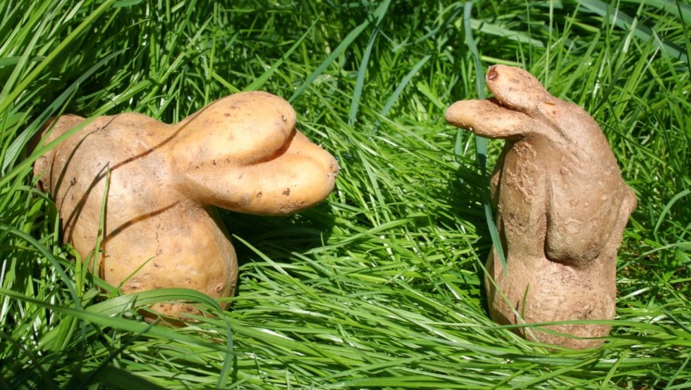 Elena Kolcova 2, &copy; Elena Kolcova