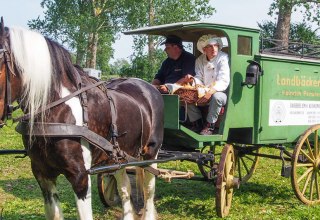 Ein historischer B&auml;ckerwagen // &copy; Freilichtmuseum Klockenhagen
