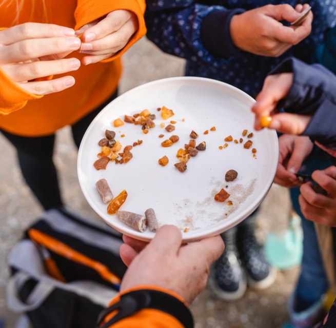 Kinder halten eine Schale mit frisch gesammeltem Bernstein und Sand bei einer Strandexkursion an der Ostsee.