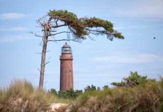 © Anke Neumeister/Deutsches Meeresmuseum © Anke Neumeister/Deutsches Meeresmuseum