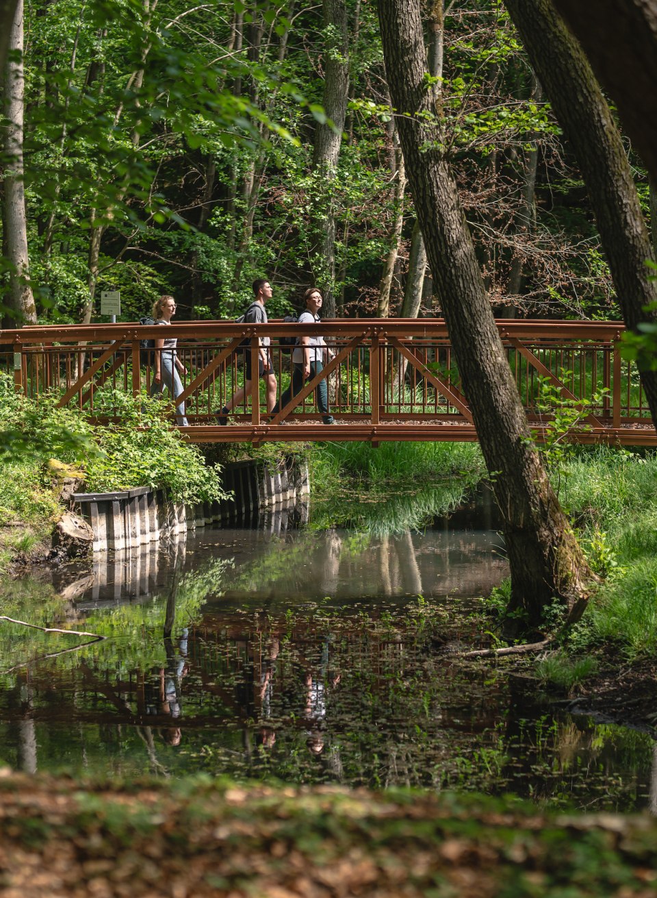 Die Graupenm&uuml;hler Br&uuml;cke f&uuml;hrt &uuml;ber den idyllischen Radebach. Drei Personen gehen &uuml;ber diese Br&uuml;cke bei Sonnenschein.