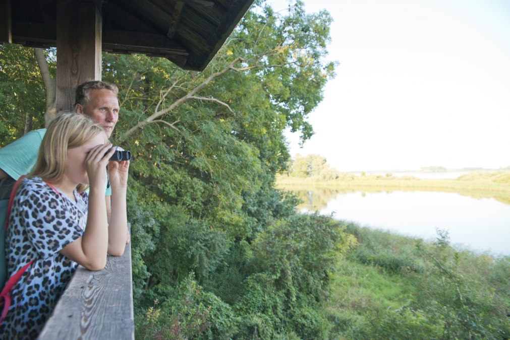 Naturbeobachtung, © C. Drühl/Tourist-Info Naturbeobachtung, © C. Drühl/Tourist-Info