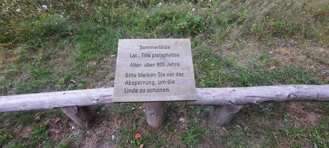 Tafel Linde, © Waren (Müritz)-Information