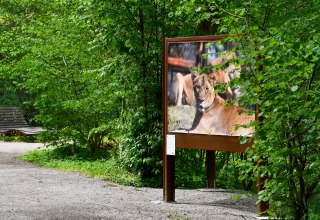 Foto-Ausstellung "Respekt, Mitgef&uuml;hl und Verst&auml;ndnis" in der Waldgalerie im B&Auml;RENWALD M&uuml;ritz // &copy; B&Auml;RENWALD M&uuml;ritz | Manuela Klier