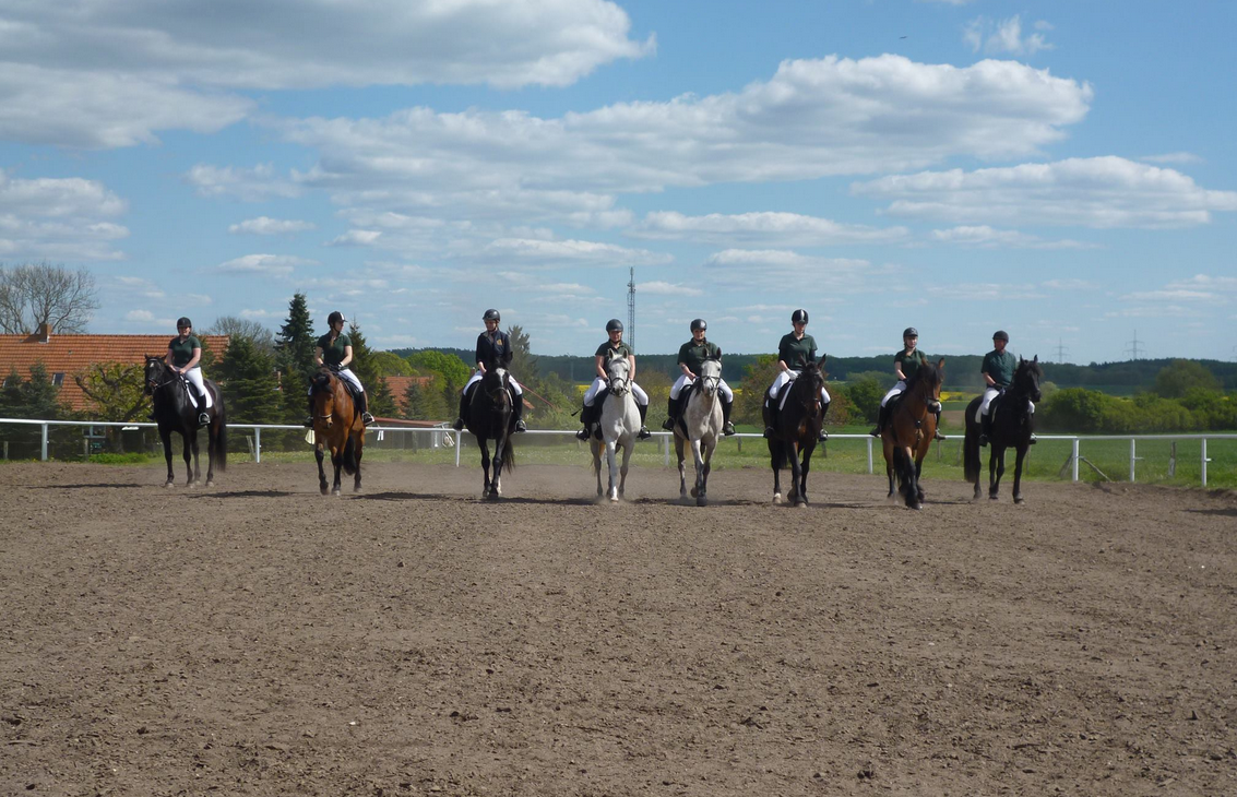 Reiterhof Enning, © Reiterhof Enning Reiterhof Enning, © Reiterhof Enning