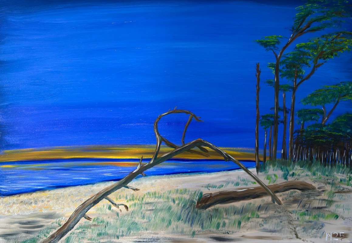 Blauw uur weststrand FDZ // &copy; W. Hube