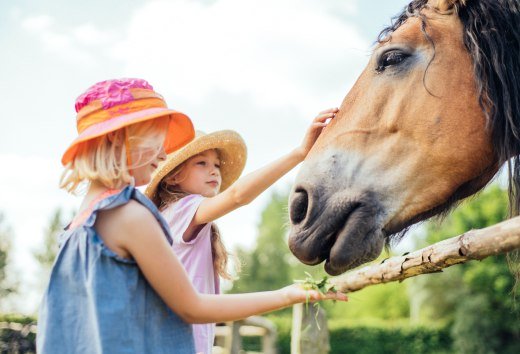 Ein Mädchen streichelt die Nüstern eines Pferdes., © TMV/Gänsicke